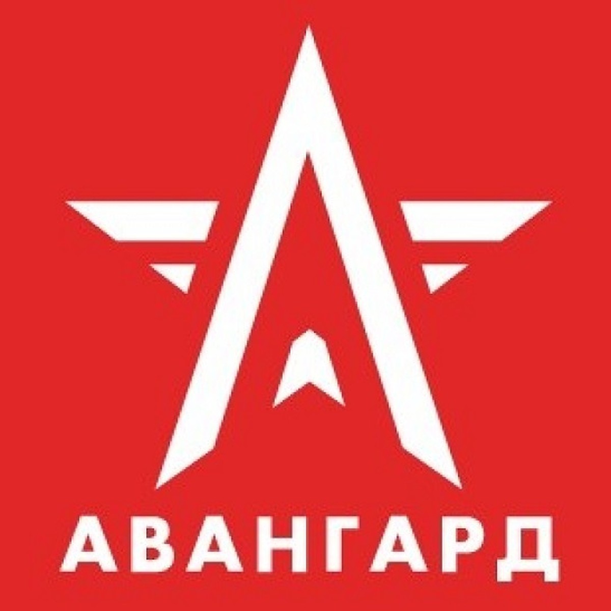 Военно-патриотический центр «Авангард - Хабаровский край» открывает первую  онлайн смену - KP.RU