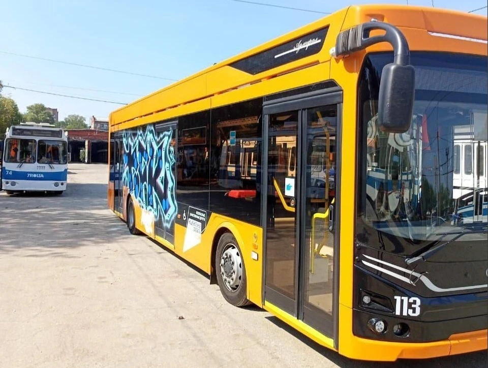 Глава Самары Елена Лапушкина взяла на личный контроль ситуацию с ...