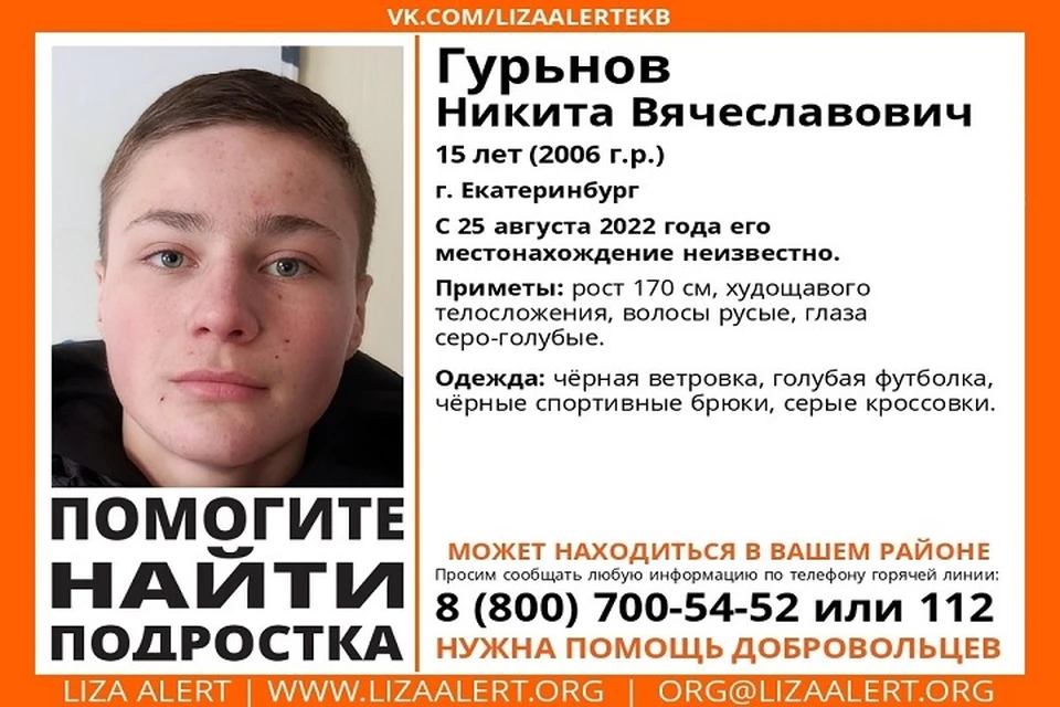 В день пропажи он был одет в голубую футболку. Фото: поисковой отряд "Лиза Алерт"