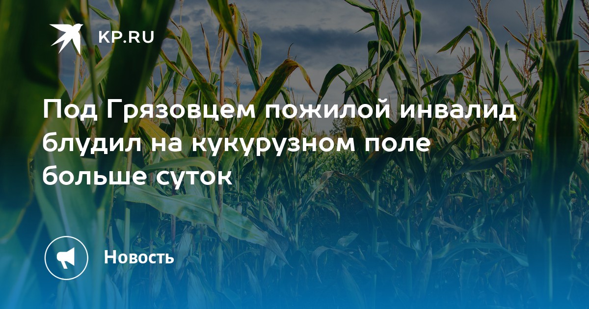 Вы на кукурузном поле вокруг зелень до самого горизонта солнце слепит вам глаза киберпанк