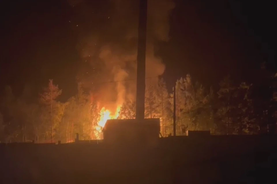 Фото: скриншот видео