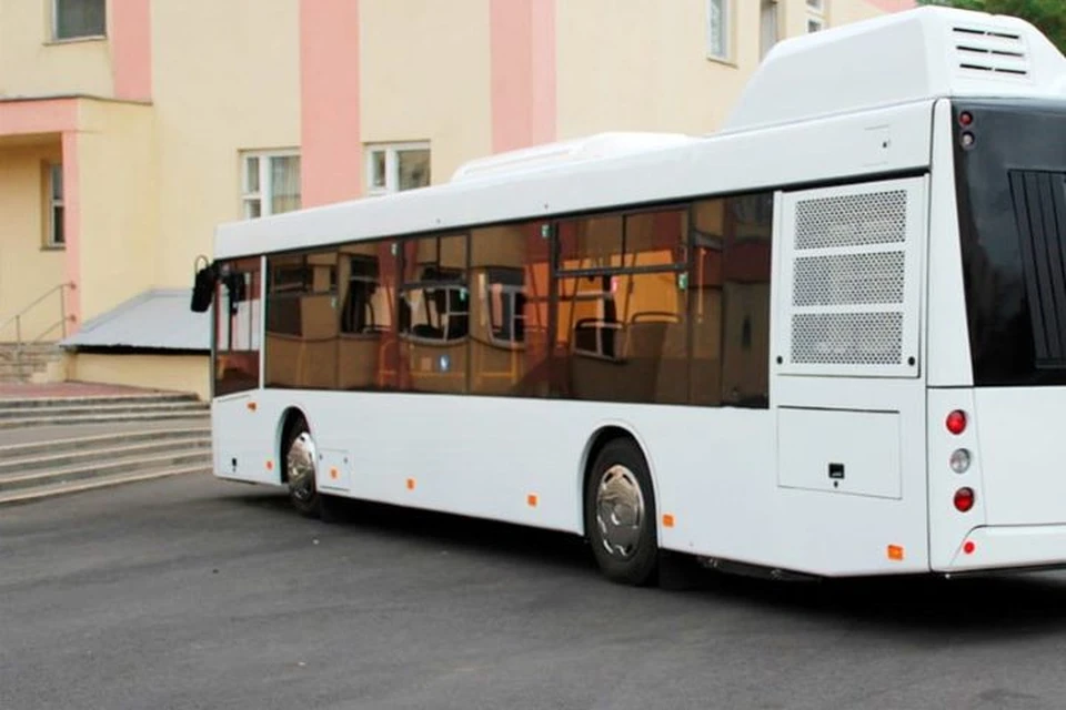 Под колеса автобуса неожиданно свалился пешеход на остановке. Фото: bus.maz.ru.com, носит иллюстративный характер