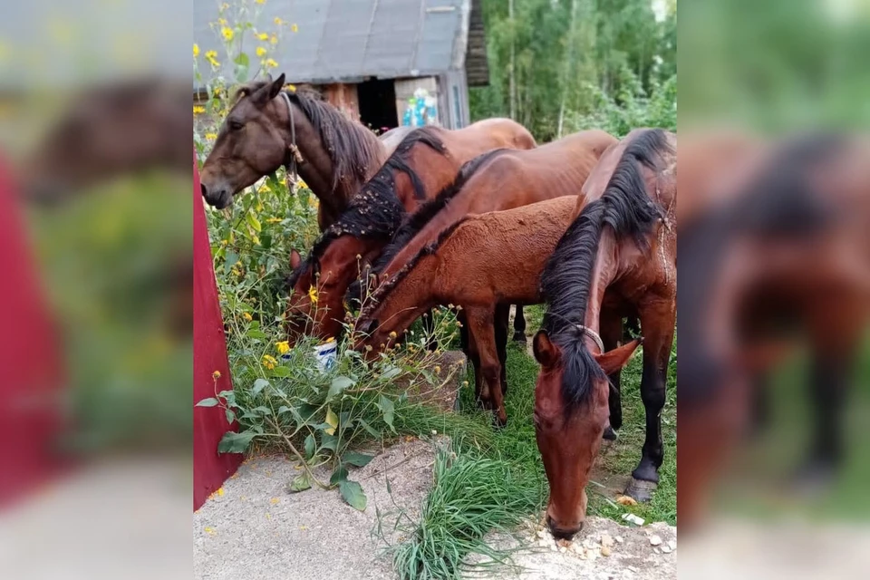 Фото: прокуратура Якутии