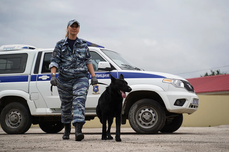 Преступникам грозит больше десяти лет лишения свободы.