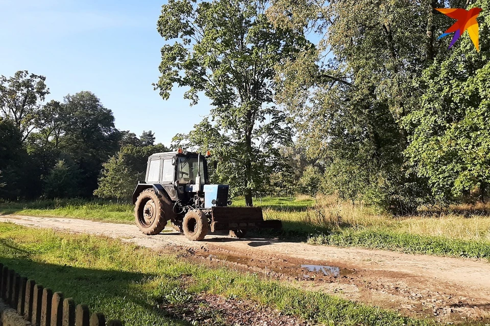 В Германии у фермера угнали белорусский трактор. Фотоиллюстрация: София ГОЛУБ