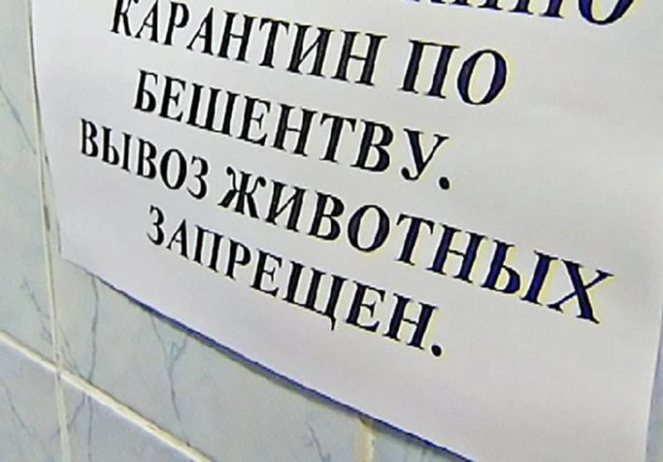 Фот: Оренбург медиа