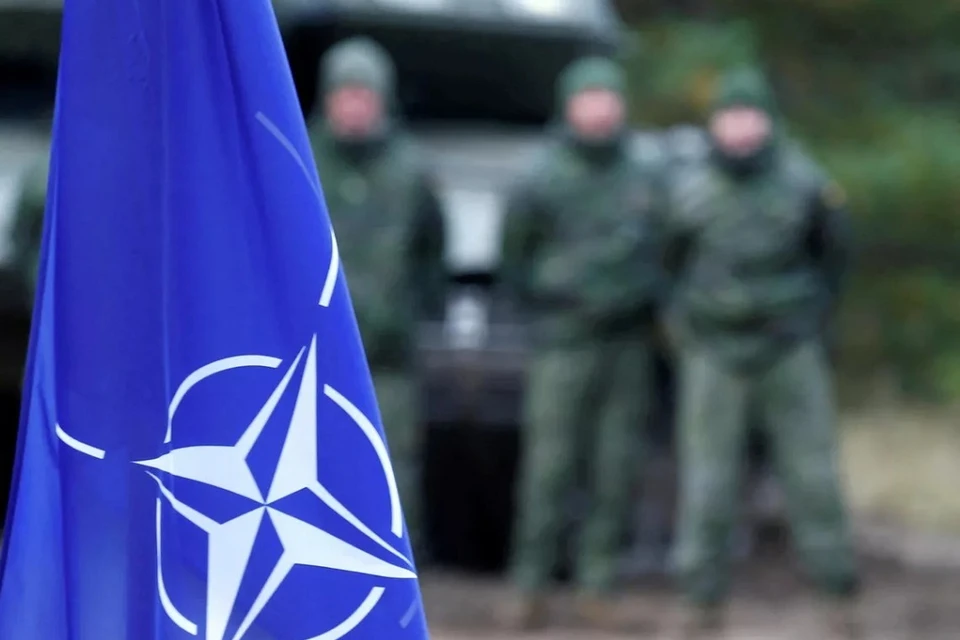 Военные учения НАТО в Латвии. Фото: REUTERS/Ints Kalnins/File Photo