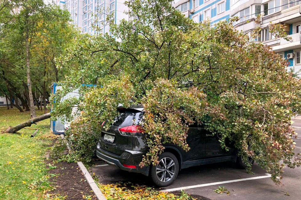 Городские службы Москвы приступили к уборке последствий, вызванных грозой, сильным ветром и ливнями в столице России.