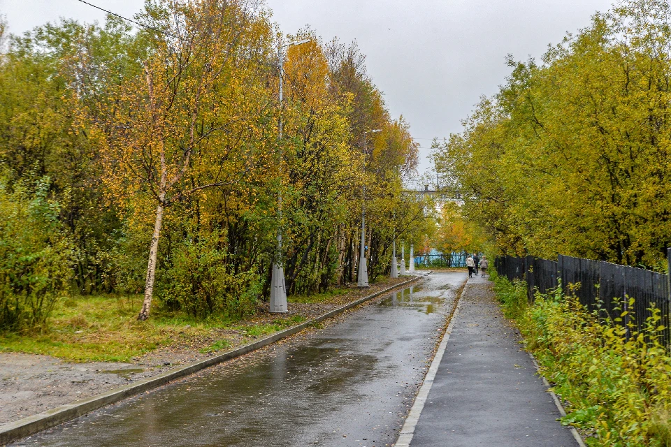 Объекты в ближайшее время введут в эксплуатацию. Фото: vk.com/citymurmanskru