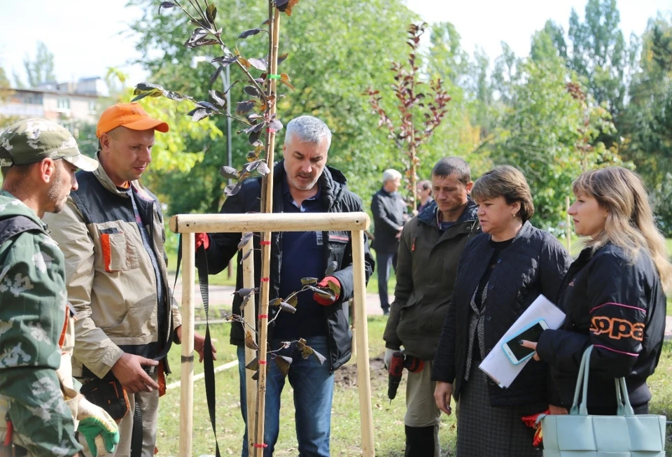 Фото городского управления экологии