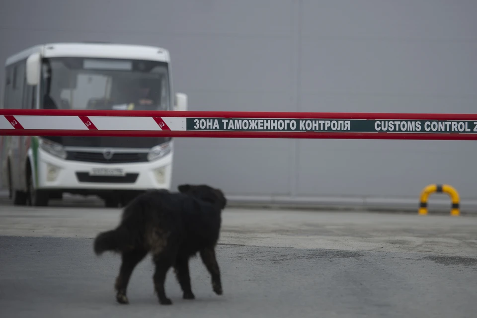 Иностранец пытался провезти без декларации 22 килограмма парикмахерских инструментов.