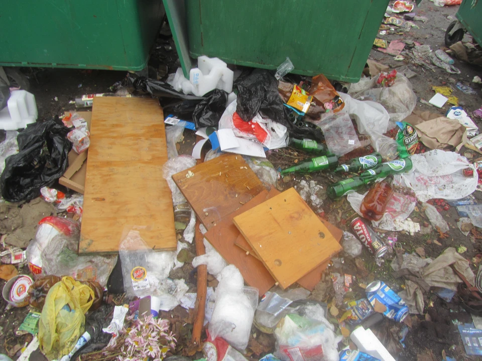 Курян призывают сортировать мусор
