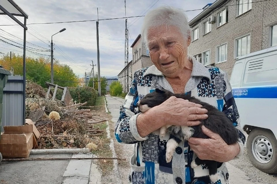 Малышей привезли к ветеринару, но специалисты не смогли спасти их. Фото: соцсети
