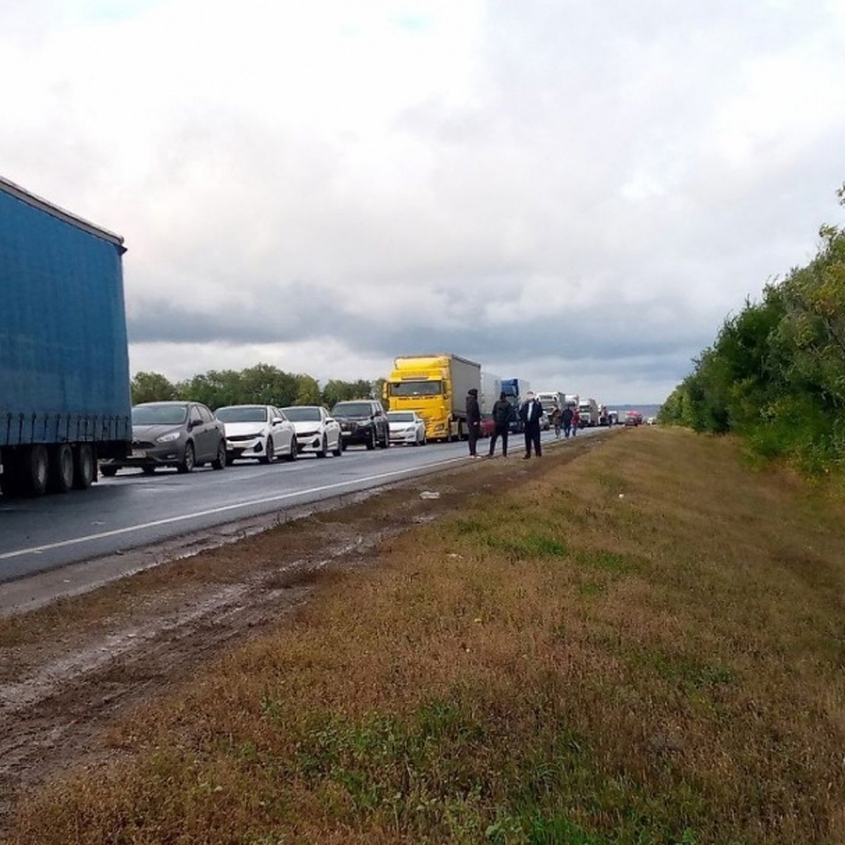 На границе Оренбургской области с Казахстаном образовалась 11-километровая  пробка - KP.RU