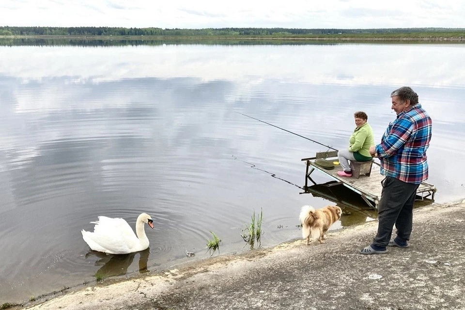 Пять лучших мест для рыбалки в Беларуси