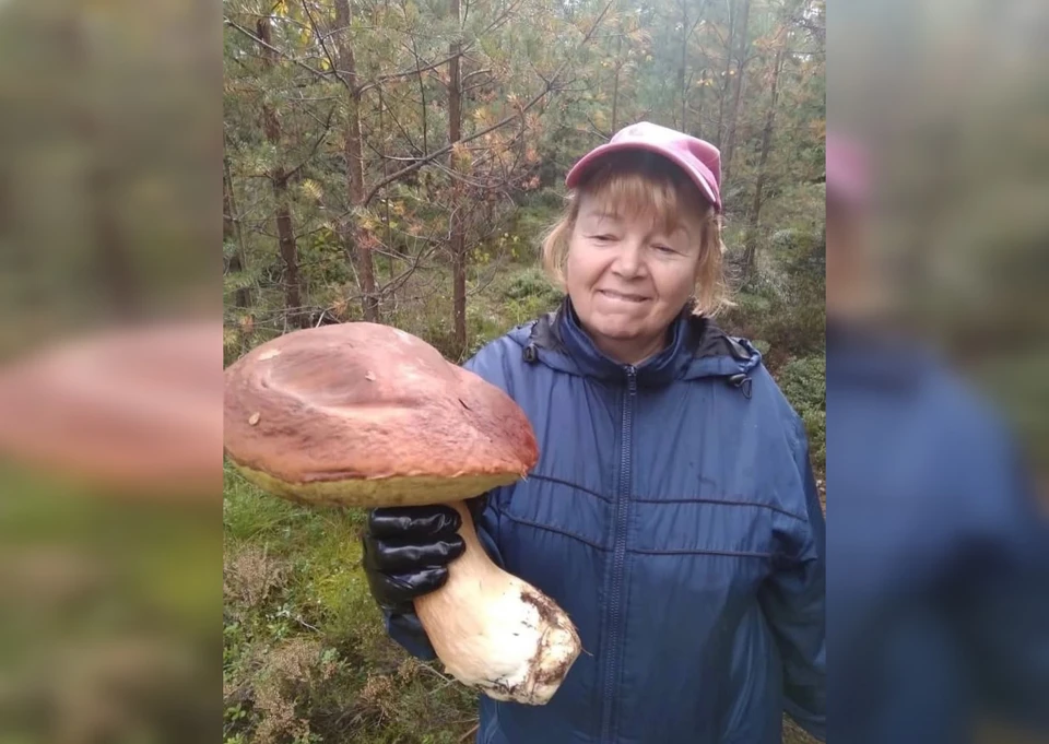 Вот такие грибы растут в Сыктывдинском районе. Фото: Палевицкая библиотека им. Ф.Ф. Павленкова