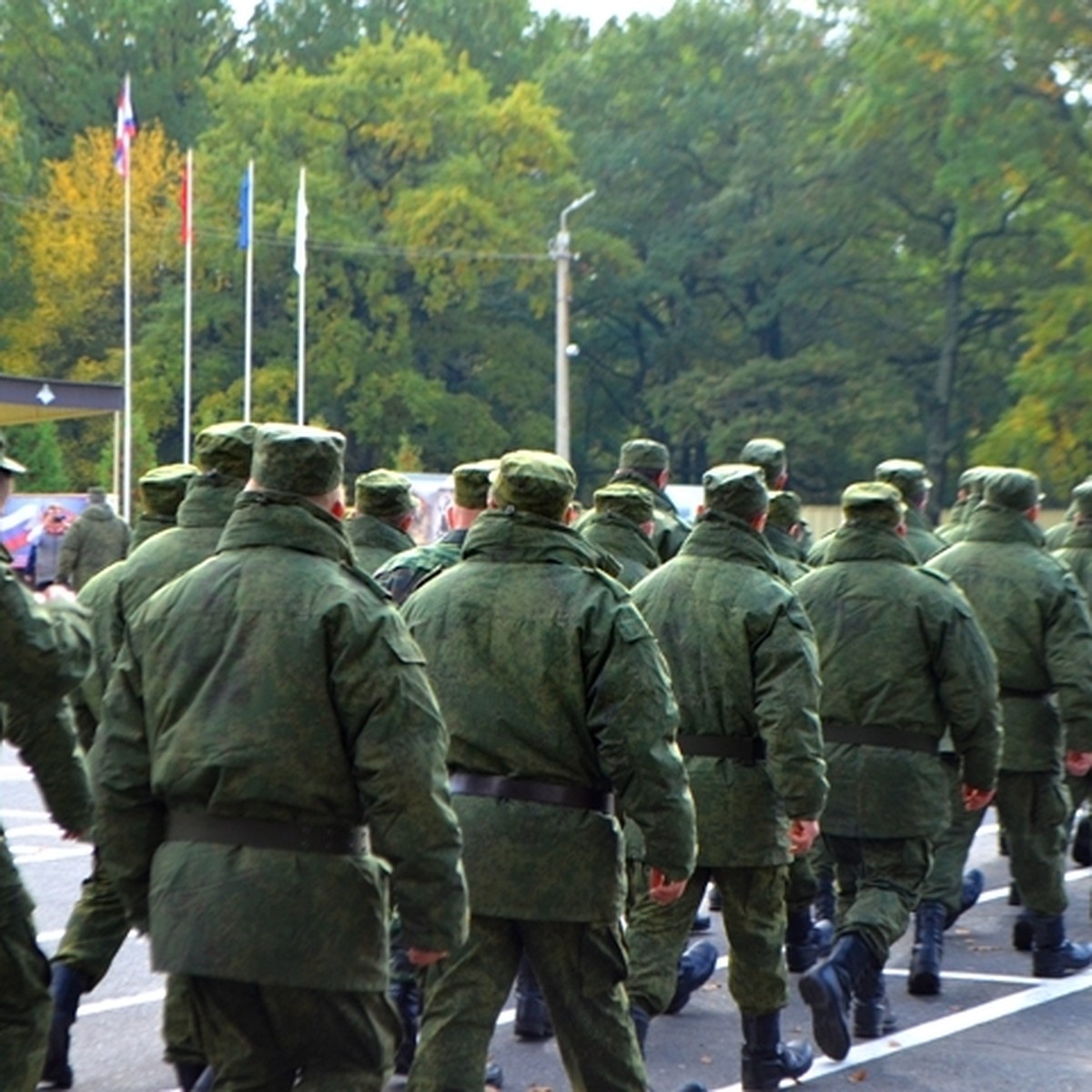 Трехразовое питание и полная экипировка: в каких условиях находятся  мобилизованные под Курском - KP.RU