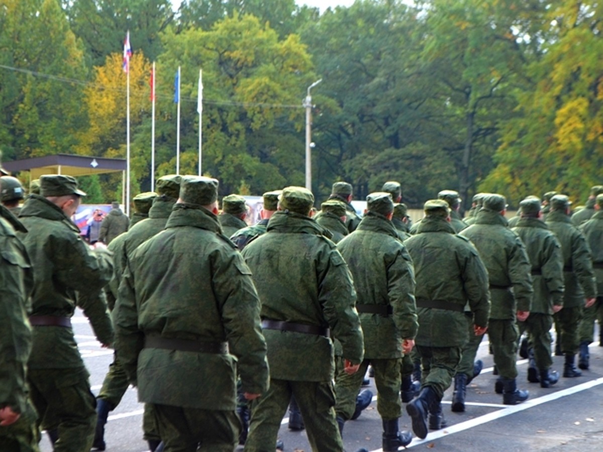 Трехразовое питание и полная экипировка: в каких условиях находятся  мобилизованные под Курском - KP.RU