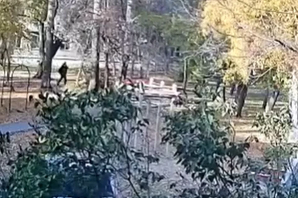 В Новосибирске неизвестный мужчина преследовал нескольких школьников. Фото: стоп-кадр из видео / Моя Первомайка