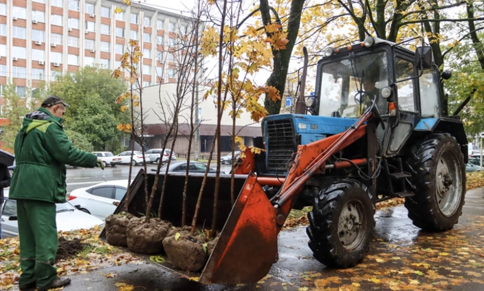 В Смоленске активно проводится осеннее озеленение. Фото: пресс-служба администрации города.