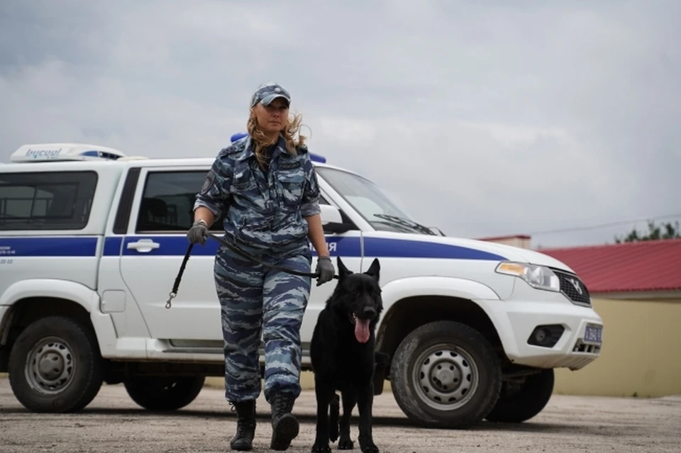 Сегодня, 6 октября, школы города будут работать в штатном режиме