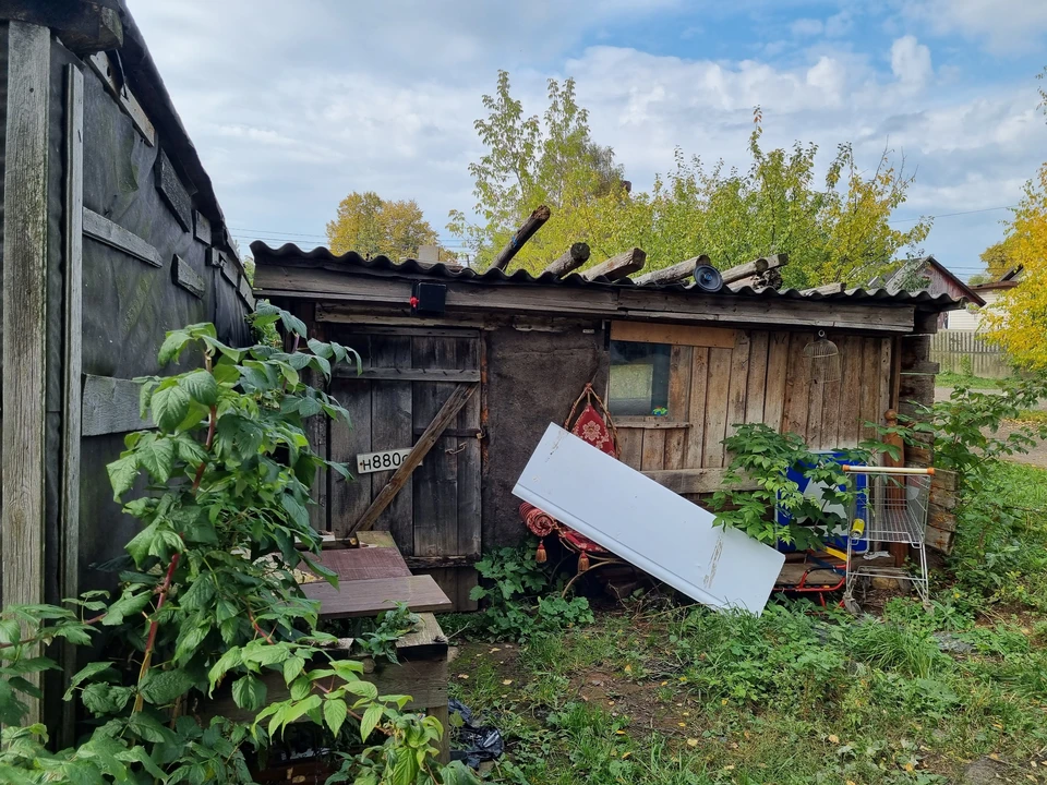Жители Омской области предпочитают жить в областном центре.