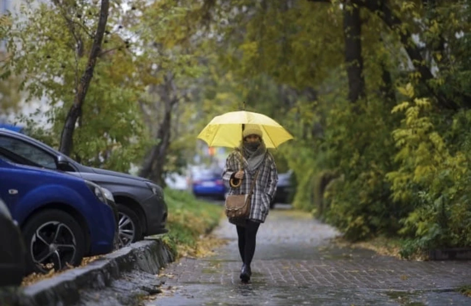 Небольшой дождь и сильный ветер ожидаются в Смоленской области 6 октября.