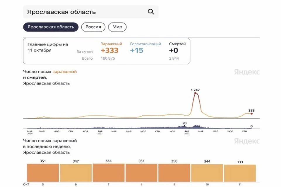 Скриншот Яндекс. Статистика
