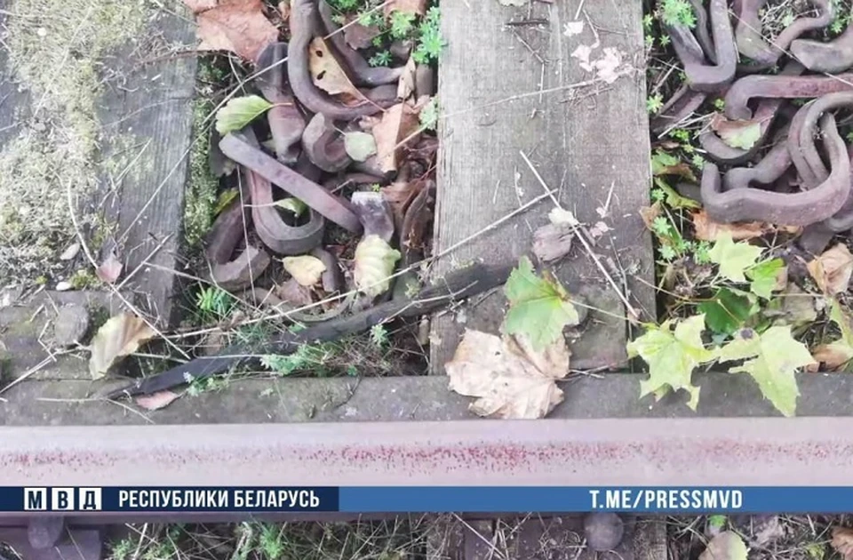 Брестчанин около месяца разбирал заброшенную железную дорогу. Фото: стоп-кадр | видео МВД