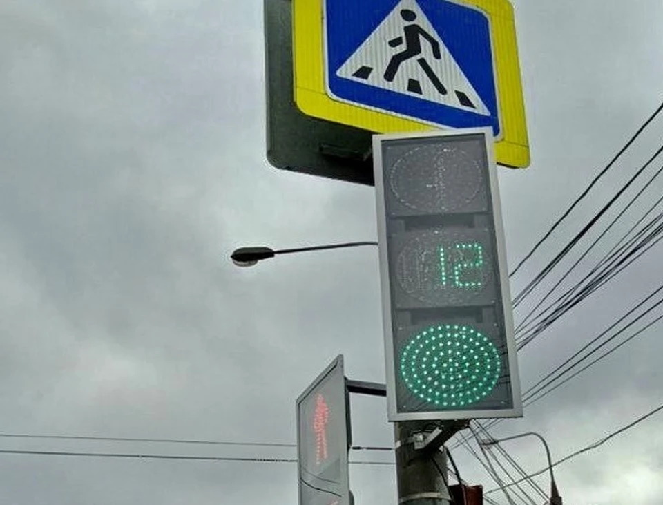 Они обладают протоколом передачи данных RS-485 который позволяет управлять транспортными и пешеходными потоками