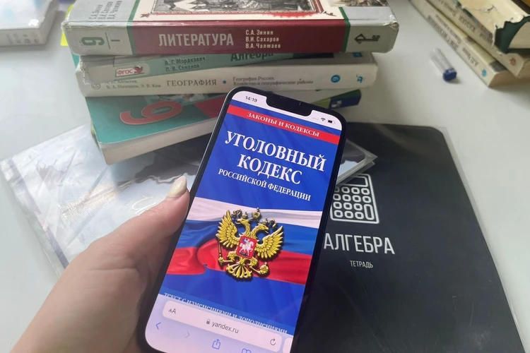 Судить нельзя помиловать: мама новосибирской школьницы сама раскрыла кражу айфона дочери