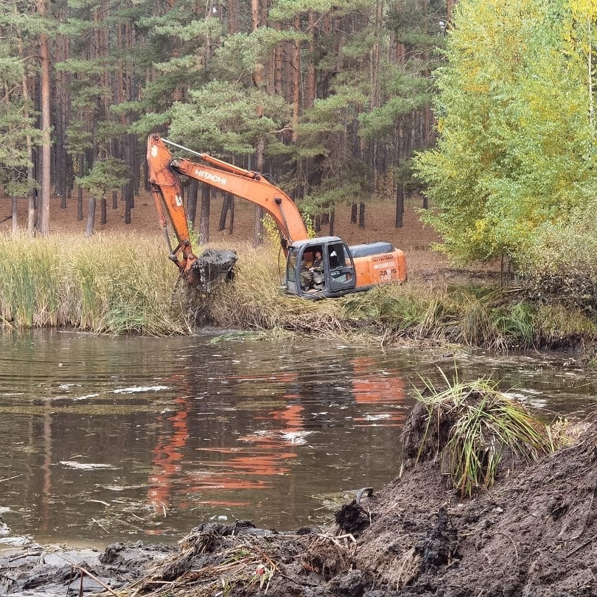 В Димитровграде после очистки трех городских озер в водоемы запустят рыбу -  KP.RU