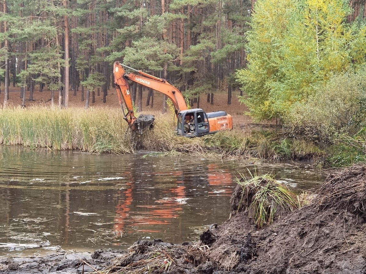 В Димитровграде после очистки трех городских озер в водоемы запустят рыбу -  KP.RU