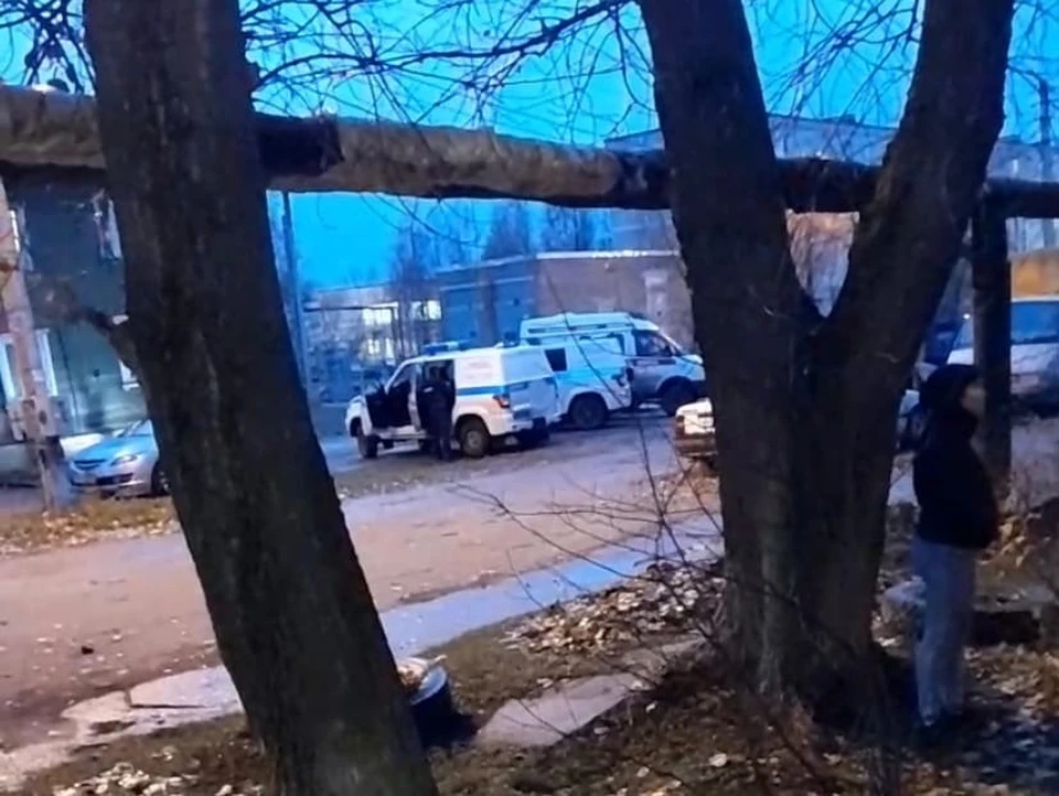 Скрин видео.