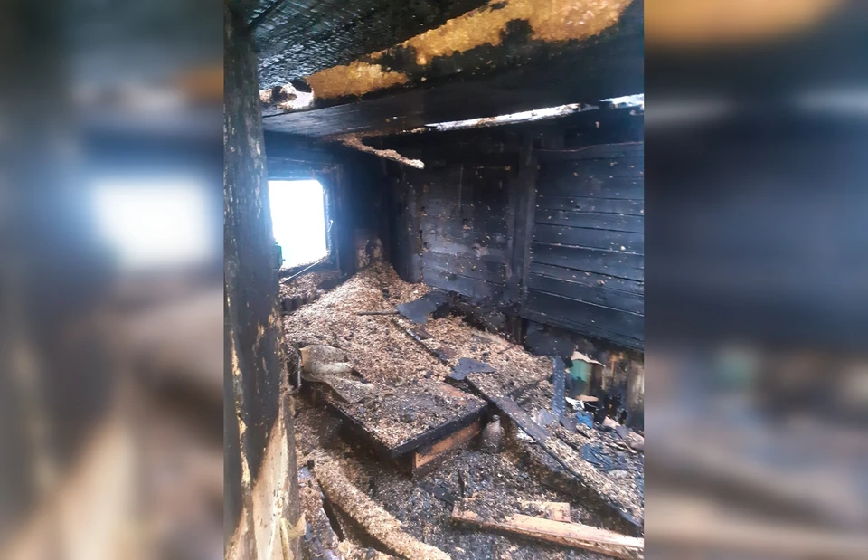 При пожаре в пункте передержки в Томске погибли девять собак. Фото: паблик "Сердце чистейшей породы"