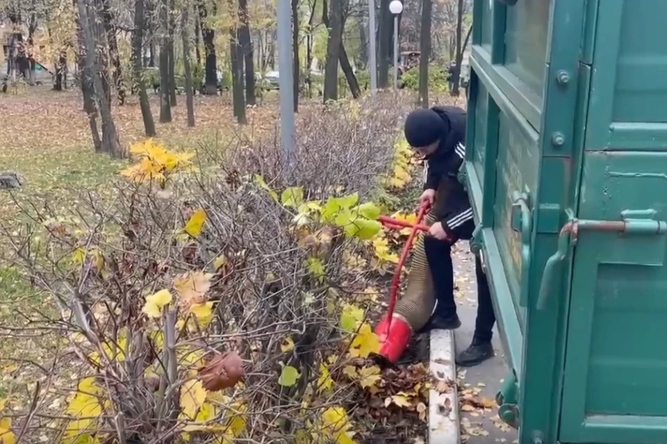 Листву в сквере собирали с помощью пылесоса.