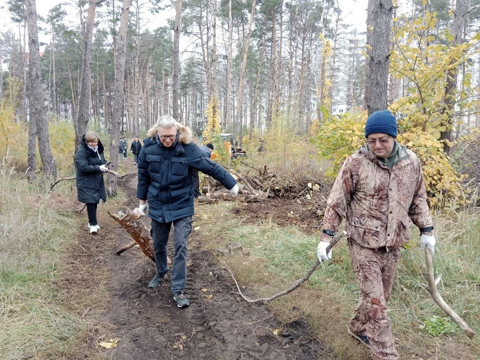 Вывезли в лес. Валежник. Вельга Северная лес. Часа в лесу. Фотосессия мусор подвешен в лесу.