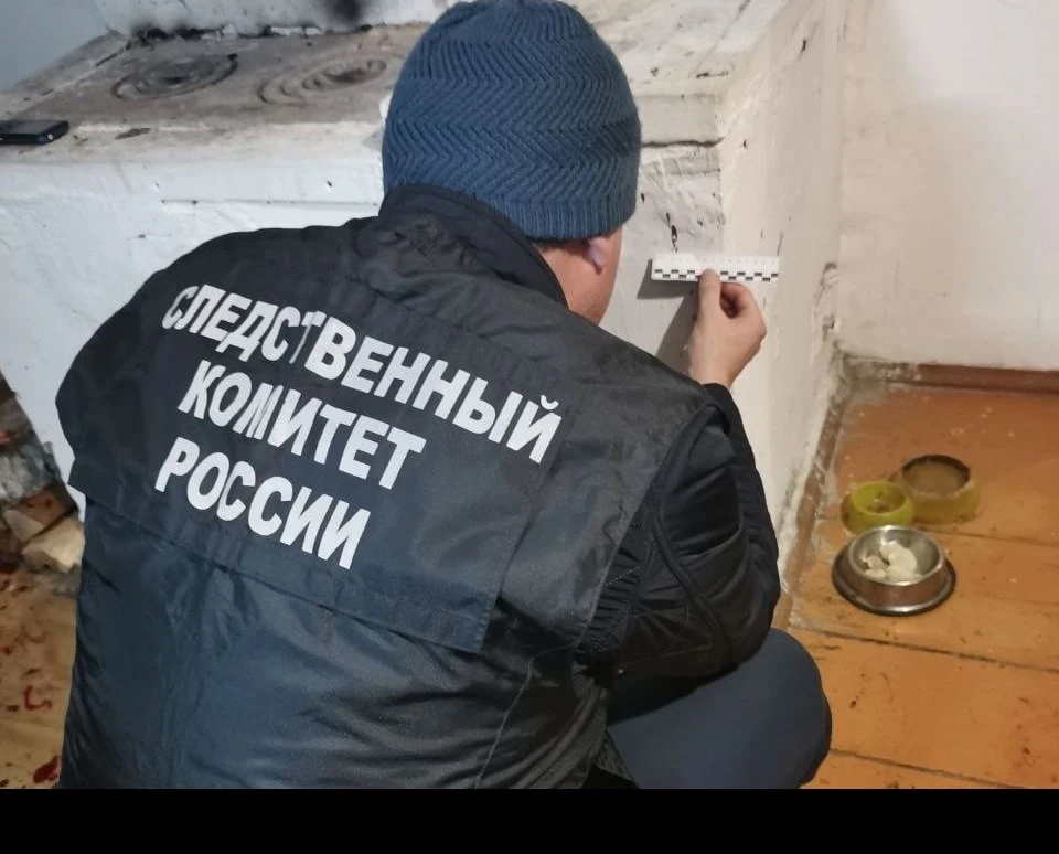 Женщина задержана и находится под стражей. Фото: СК РФ по Томской области