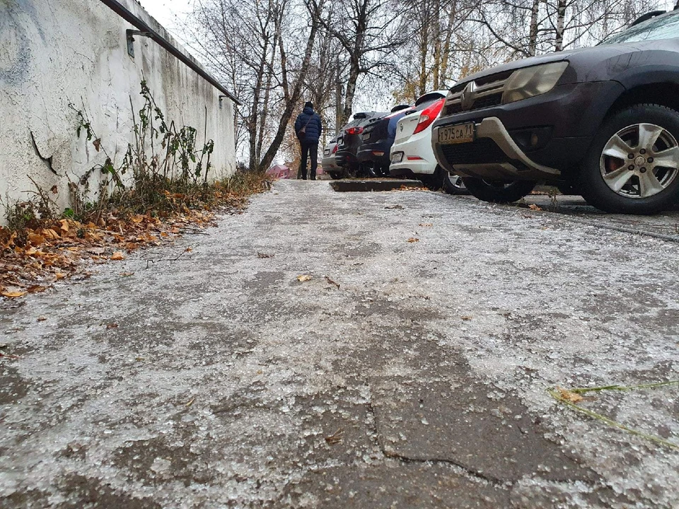 В Тульской области уже с понедельника ожидаются похолодание и мокрый снег