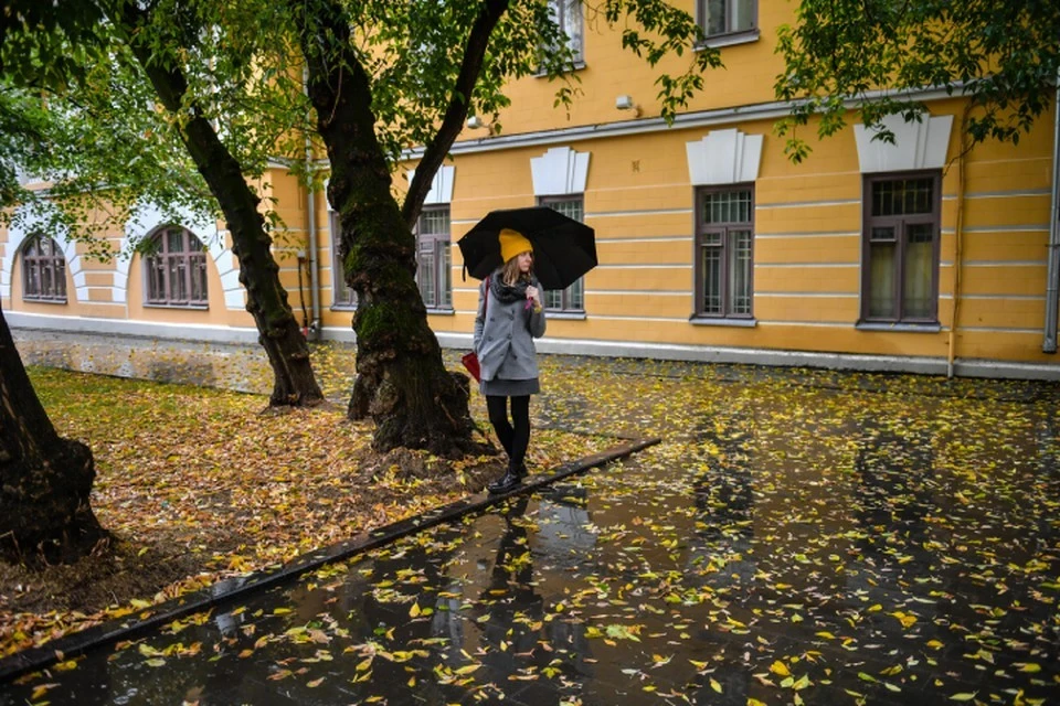 В выходные синоптики прогнозируют в Кирове дождливую погоду