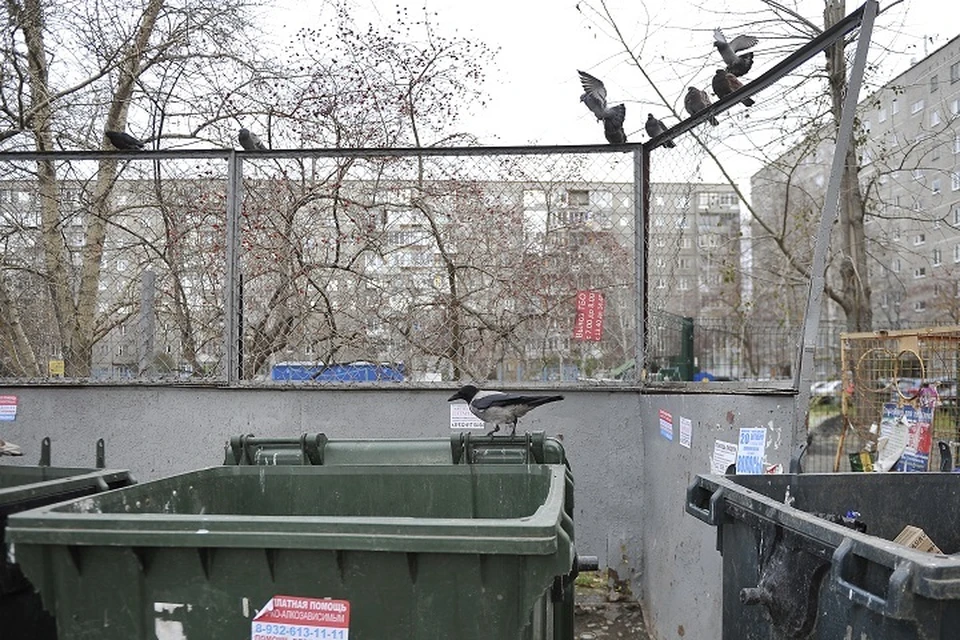 Екатеринбуржцы заметили, что во дворах скопился мусор