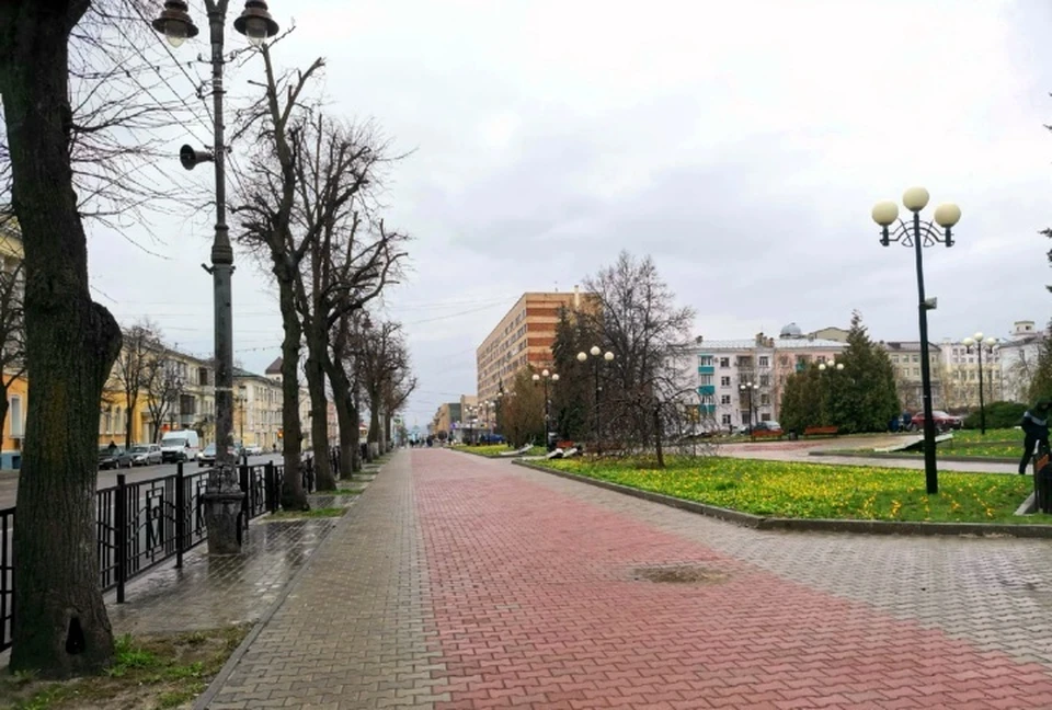 Убирают сухую листву и обрезают деревья