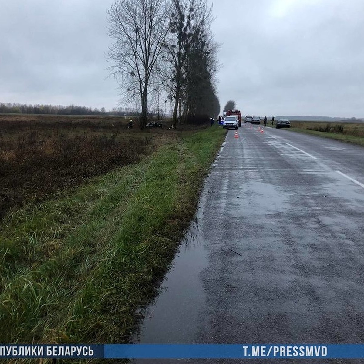 Появилось видео с места жуткого ДТП в Дрогичинском районе, где погибли  четыре человека - KP.RU