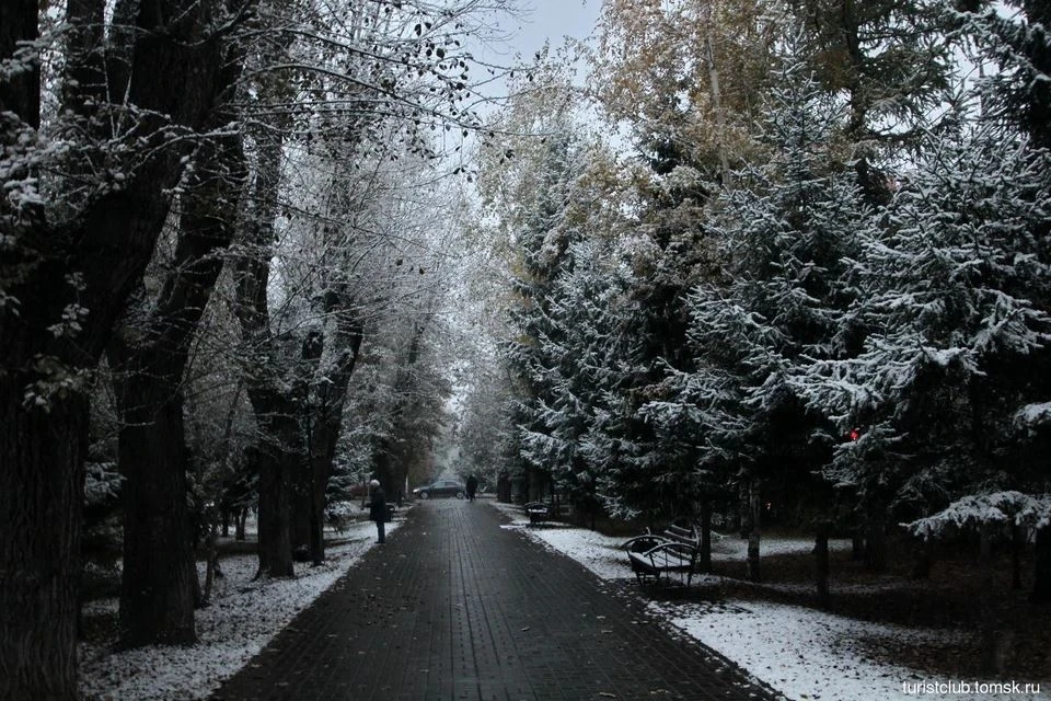 Днём будет пасмурно
