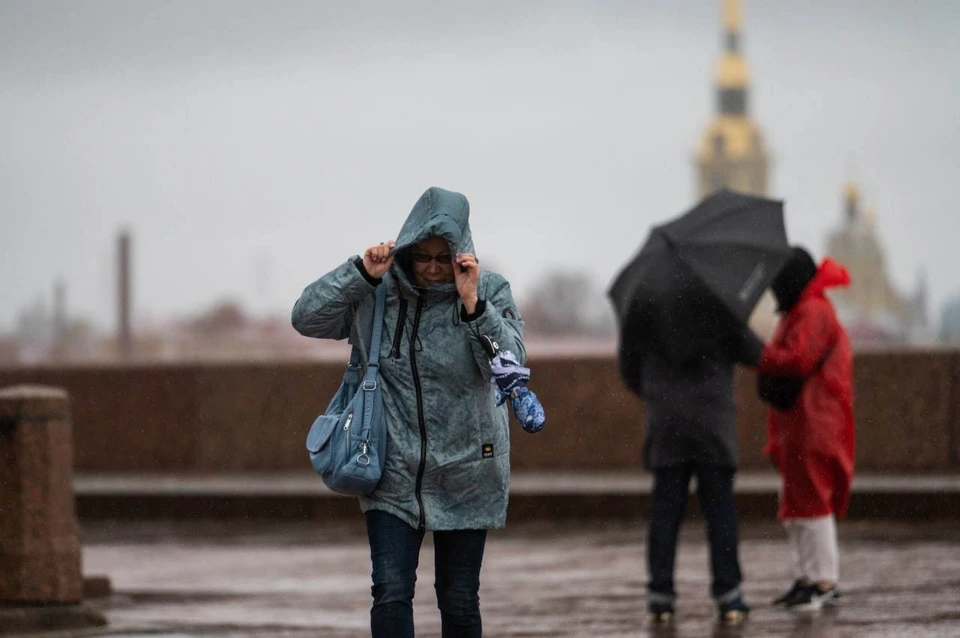 Дожди будут лить всю неделю, а к выходным опять резко похолодает.