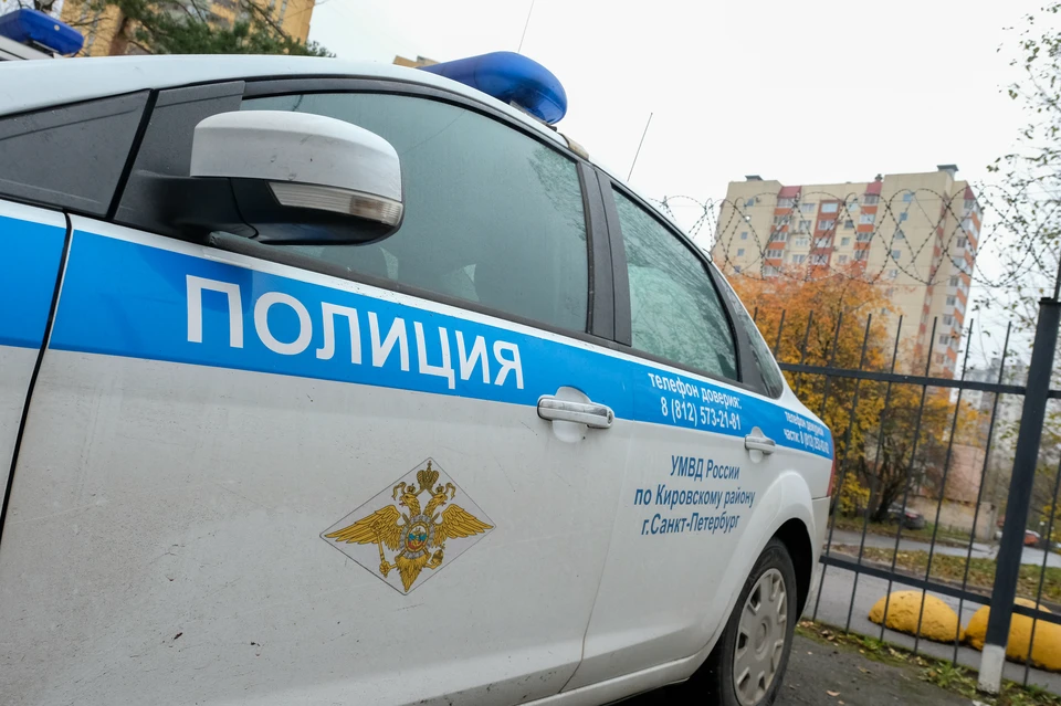 Полицейские задержали мужчину, который угнал автомобиль и попал на нем в ДТП в Ленобласти