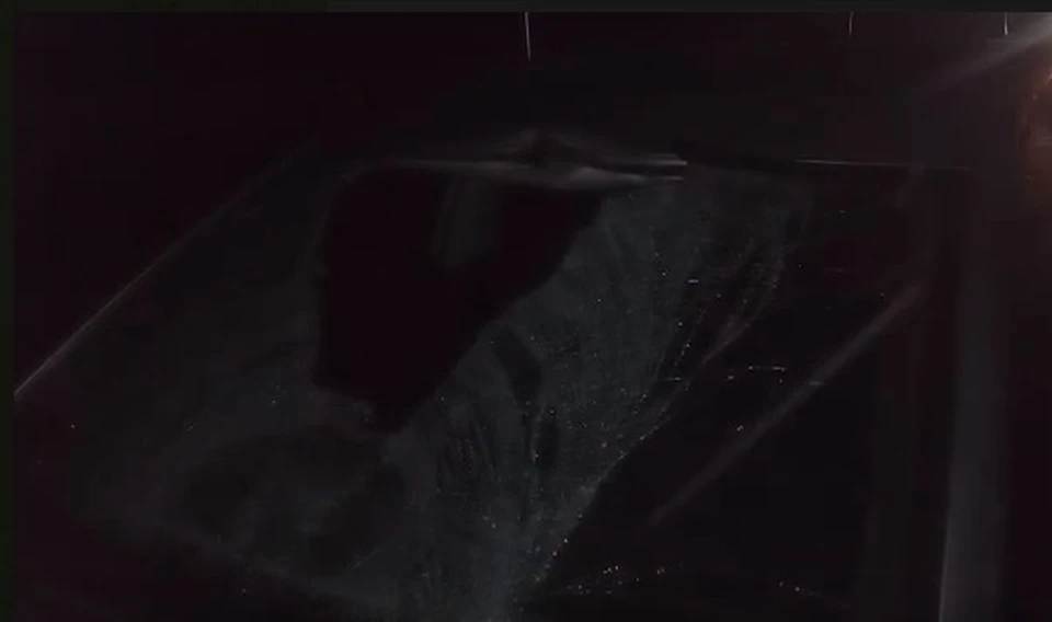 Фото: скриншот с видео