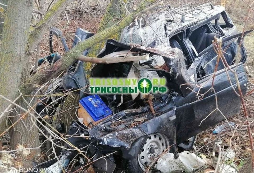 ФОТО: группа в ВК Портал трисосны.рф