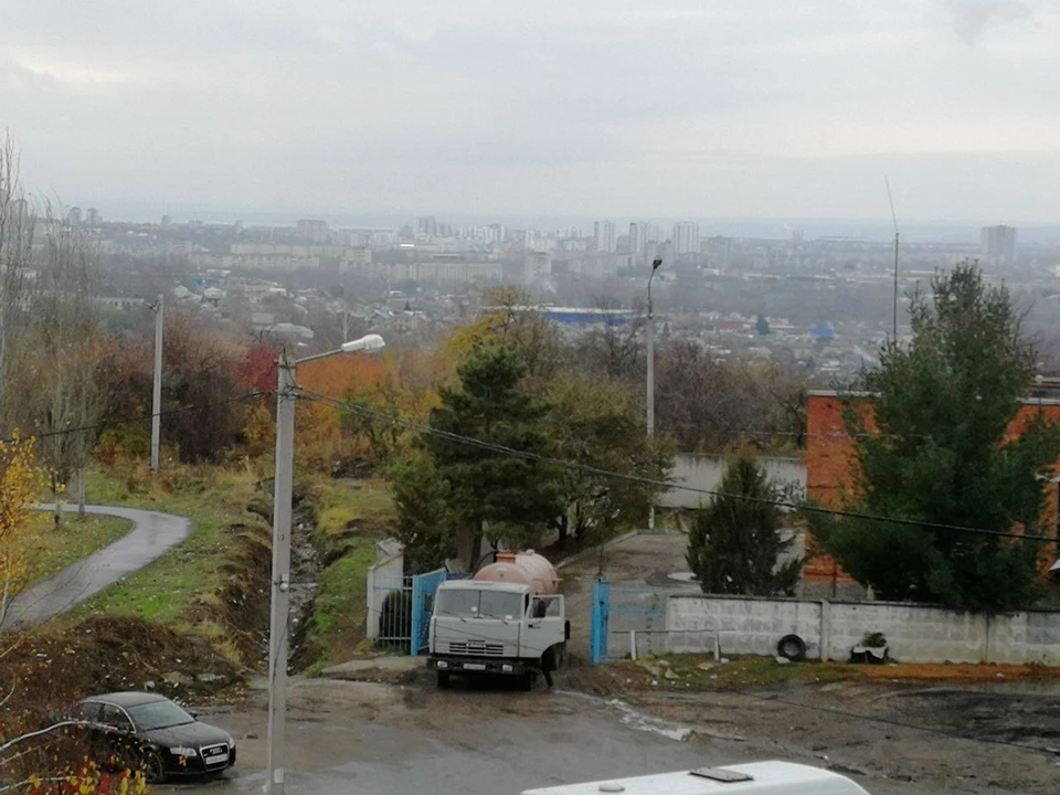 ФОТО: телеграм-канал Симбирский шугожор