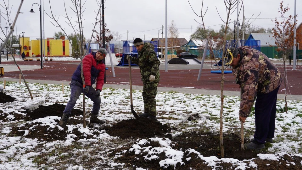С начала осени в городе высадили более тысячи саженцев